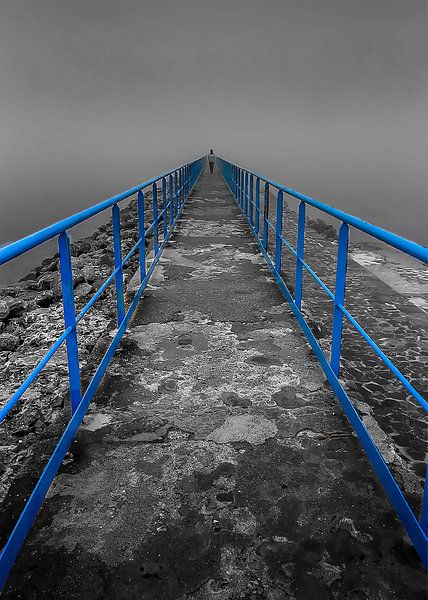 Flèche Bleue van Catherine Fortin