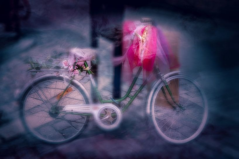 Who wants normal.... by ahafineartimages