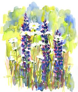 Lupinen und Margeriten Aquarellgemälde