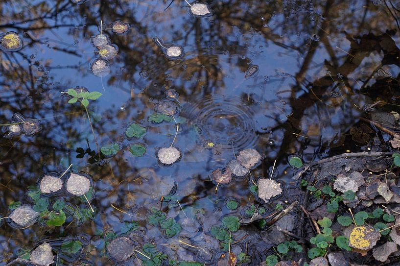 drop by Madeltijntje