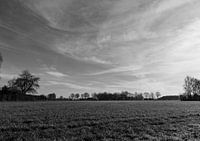 broad view