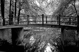 Schlossgarten von Niels Jansen