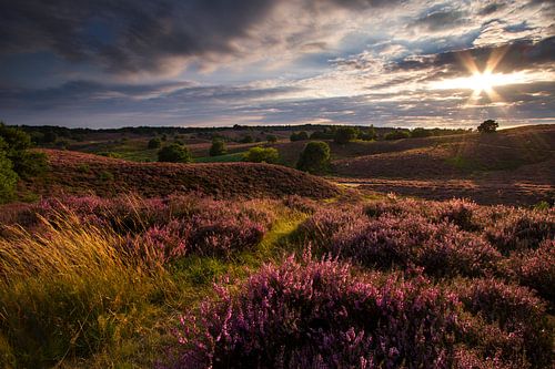 Een mooi paars landschap tijdens de zonsondergang