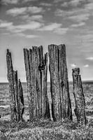 Wattenmeer