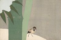 Bamboe in sneeuw van 1000 Schilderijen thumbnail