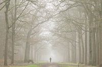 Hardlopen in de mist