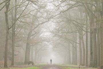 Laufen im Nebel von Ivanka van Gils-Hafakker