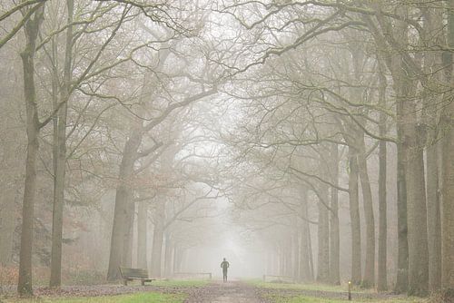 Laufen im Nebel