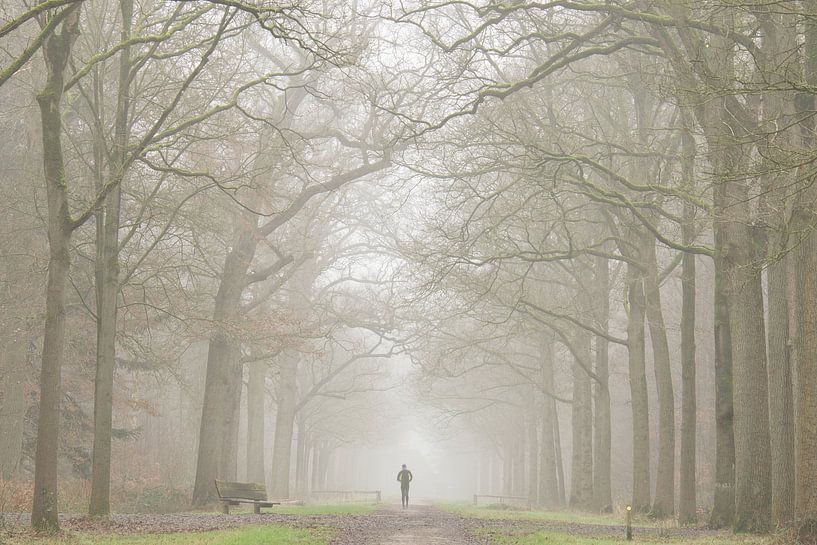 Hardlopen in de mist van Photography by Ivanka