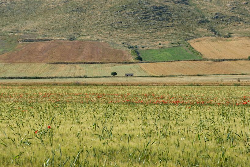 Puglia by Mario Creanza