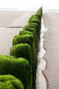Grüne Wellenbrecher von Richard Geven
