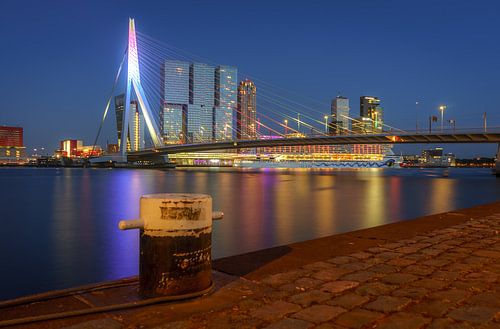 Erasmusbrug by night