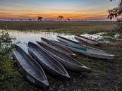 Sonnenuntergang über dem Okavango-Delta mit Mokoros im Vordergrund von victor van bochove Miniaturansicht