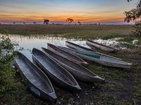 Sunset over the okavango delta with mokoros in the foreground