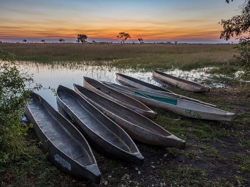 Sonnenuntergang über dem Okavango-Delta mit Mokoros im Vordergrund von victor van bochove