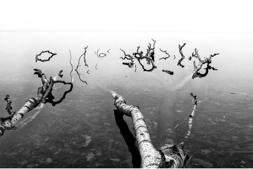 Gevallen van Remco Stunnenberg