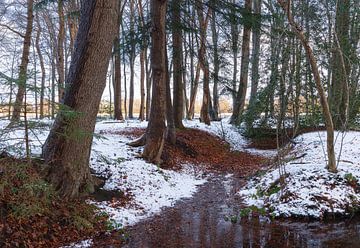 Winter in Groningen (Niederlande) von Marcel Kerdijk