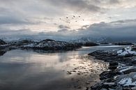 Zeezicht met bergen (Noorwegen) van Riccardo van Iersel thumbnail