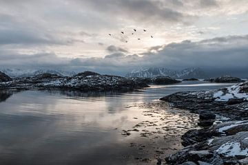 Zeezicht met bergen (Noorwegen) van Riccardo van Iersel