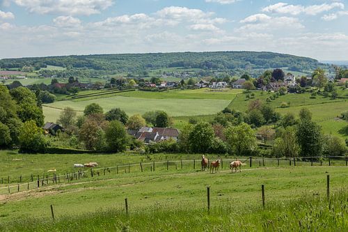 Uitzicht op de Schweiberg in Zuid-Limburg