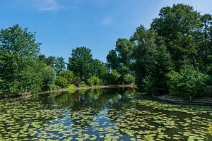 Wunderschöner Park