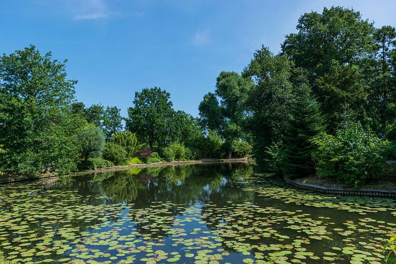 Beautiful park in the summer by Patrick Verhoef