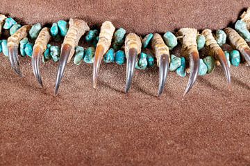 Chaîne de griffes de violette