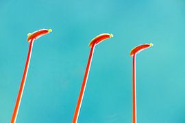 The Magi by Fabrizio Gallo