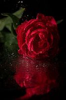 Diep rood
