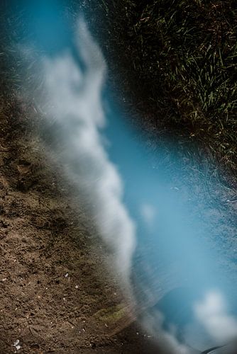 La terre, l'air et l'herbe