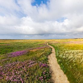 Der lange Weg von Fabrizio Micciche