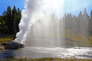 Fluss-Geysir im Yellowstone