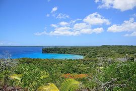 Baie de Jinek
