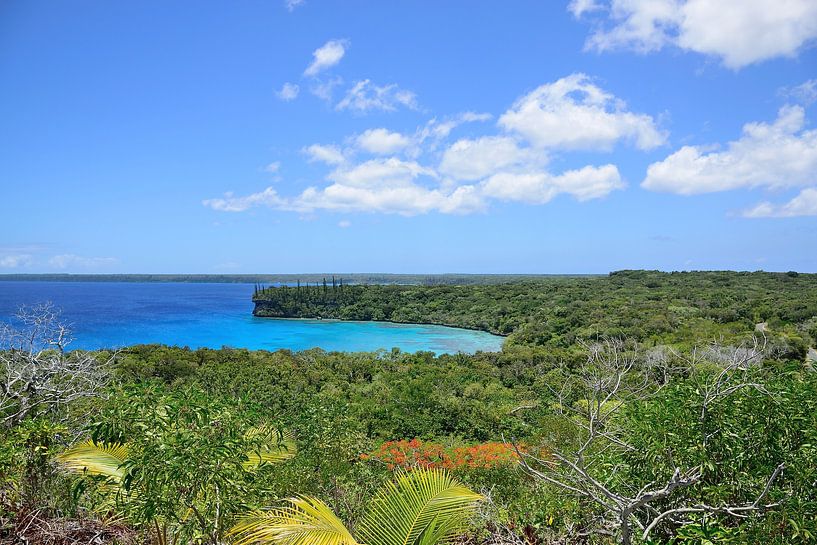 Baie de Jinek by Frank's Awesome Travels