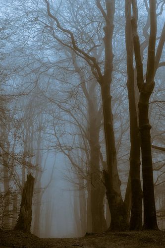 De kunst van bomen