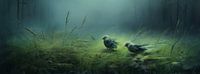 Songbird Melodies