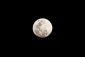 Mond