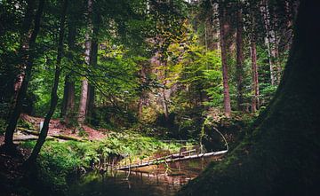Kleiner Bach im Wald zwischen Felsen und Sandsteinen von Jakob Baranowski - Photography - Video - Photoshop