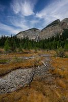 Takakkaw Falls en klein stroompje in herfstkleuren