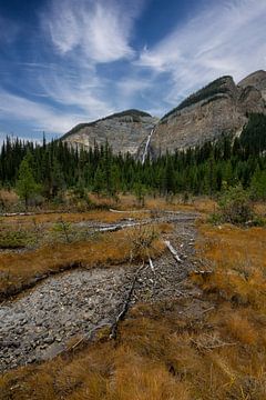 Takakkaw Falls en klein stroompje in herfstkleuren van Christiaan Poot