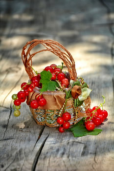 Panier de fruits