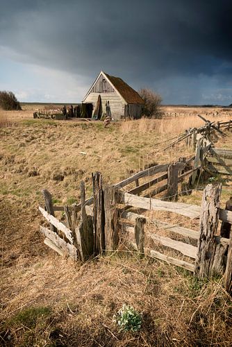 Vieux hangar devant un orage à Texel sur Sjoerd van der Wal Photographie