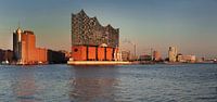 Elbphilharmonie bei Sonnenuntergang, Hamburg von Markus Lange Miniaturansicht