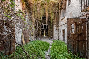 Lost Place - Die grüne Villa von Gentleman of Decay