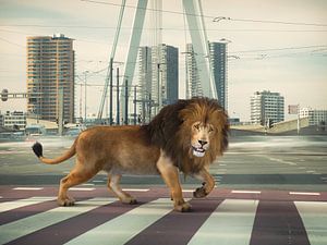Urban Wild I