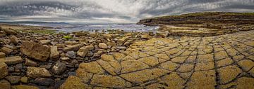 Landschap - Kalkstenen rotsbodem bij Downpatrick Head van Luc de Zeeuw