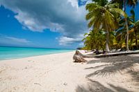 Paradise Dominicaanse republiek