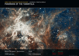 Panoramic view of a star-forming region | Tarantula Nebula | Hubble Space Telescope von Deep Field
