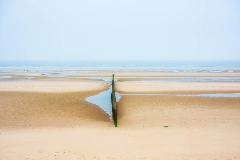 Landscape by John Claes