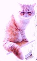 being serious